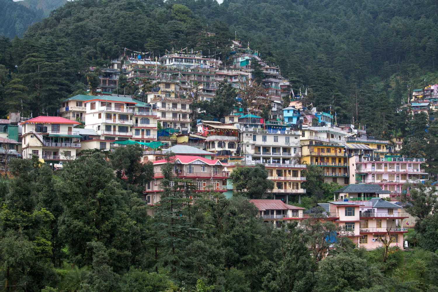 Houses at himalaya mountains in dharamshala india