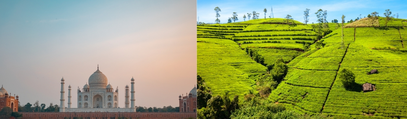 India & Surrounding Regions